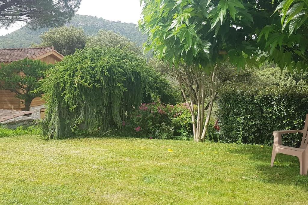 A L'Ombre Du Chene Gites Eden En Cevennes 앙뒤즈 외부 사진