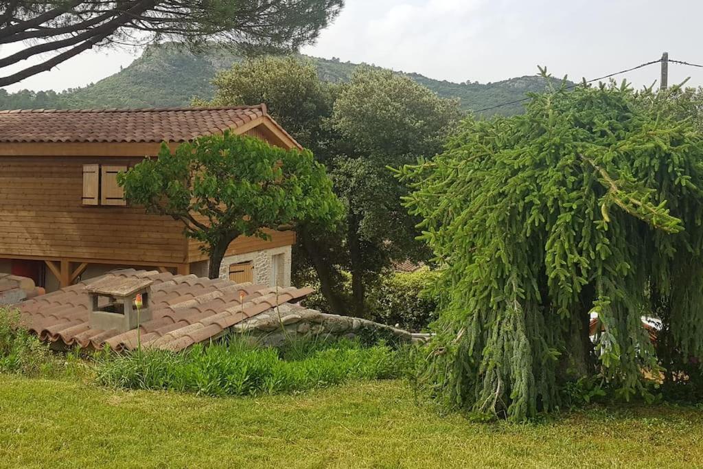 A L'Ombre Du Chene Gites Eden En Cevennes 앙뒤즈 외부 사진